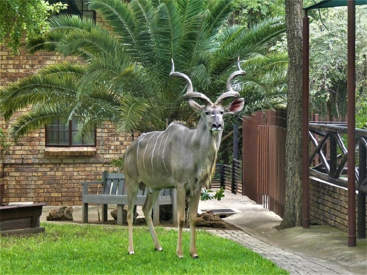 Weltevrede Lodge - Self Catering Houses มาร์ลอทพาร์ค ภายนอก รูปภาพ